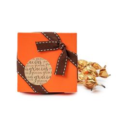 Caja naranja decorada cinta pespunte marrón 3 croki-chocs*